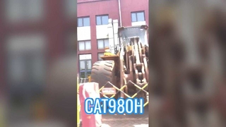 Die Nummern CAT980H
